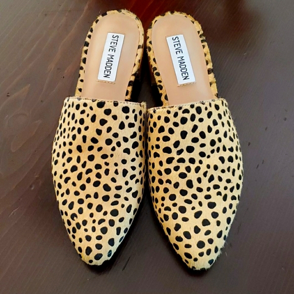 cheetah mules steve madden